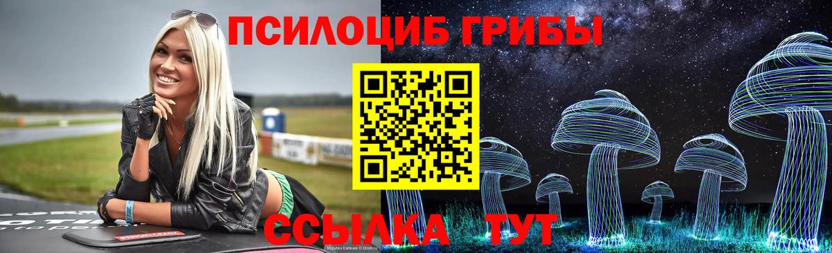 Псилоцибиновые грибы GOLDEN TEACHER  Галлюциногенные грибы ЛСД  Курск  Вход с VPN 