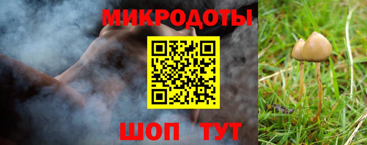 Псилоцибиновые грибы прущие грибы Курск
